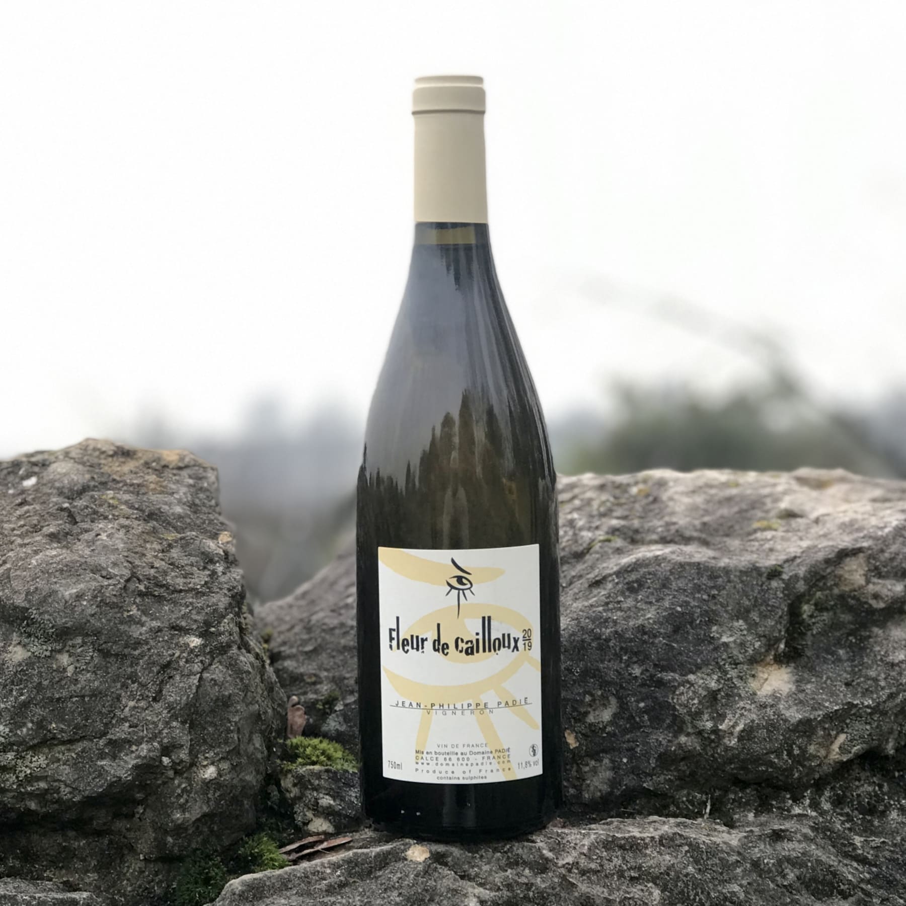 PadieFleurDeCailloux2019